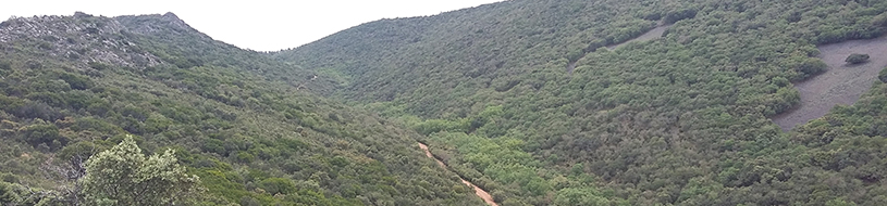 Panorámica de Quintos de Mora