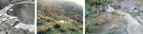 Trabajos de recuperación de charcas en el Parque Nacional de Sierra Nevada