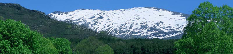Peñalara y Pinar de Valsaín [Foto: A.Moreno]