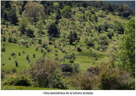 Vista general de turbera acotada