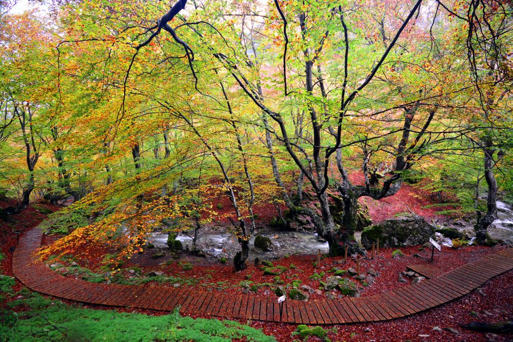 fotos alto bernesga