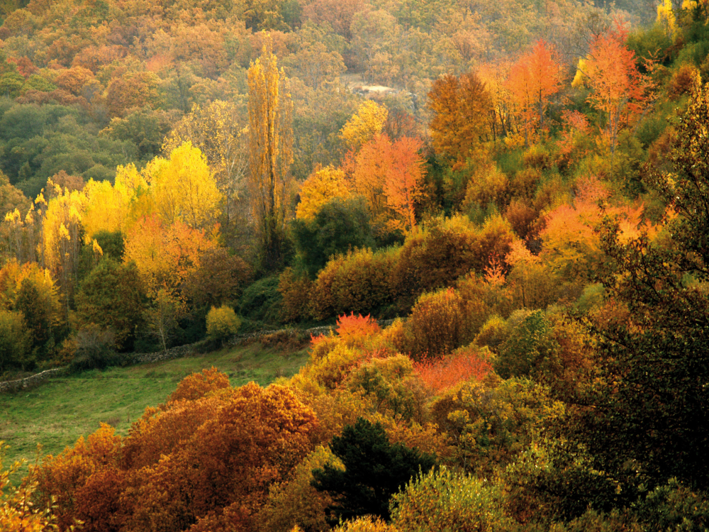 Sierra de Bejar y Francia - Otoño
