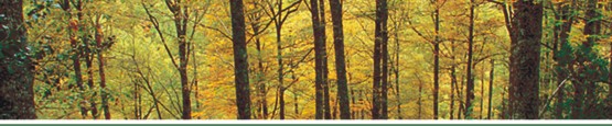 Boletín de la Red Española de Reservas de la Biosfera