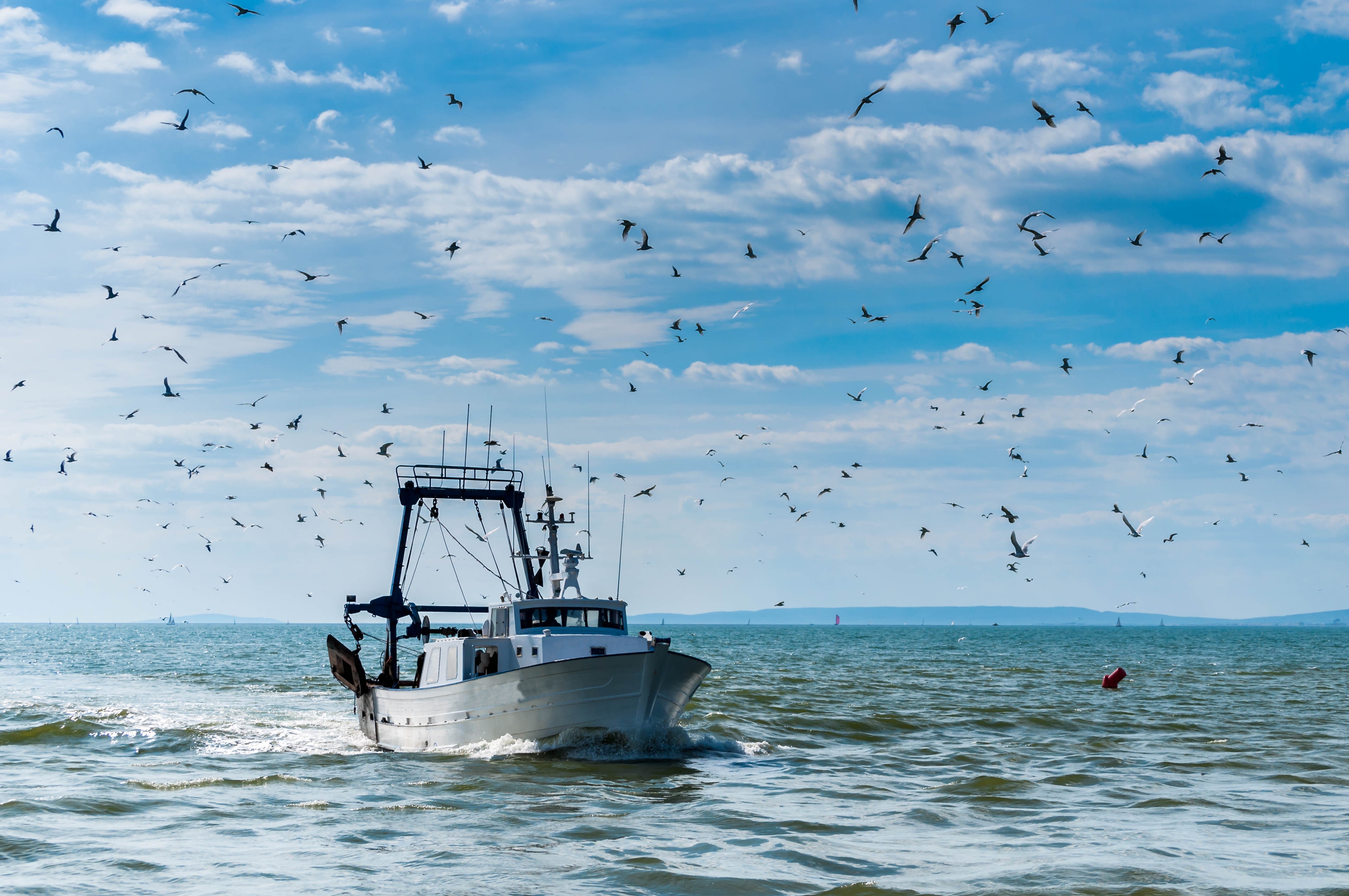 El MITECO destina 4,3 millones para apoyar la sostenibilidad del sector pesquero