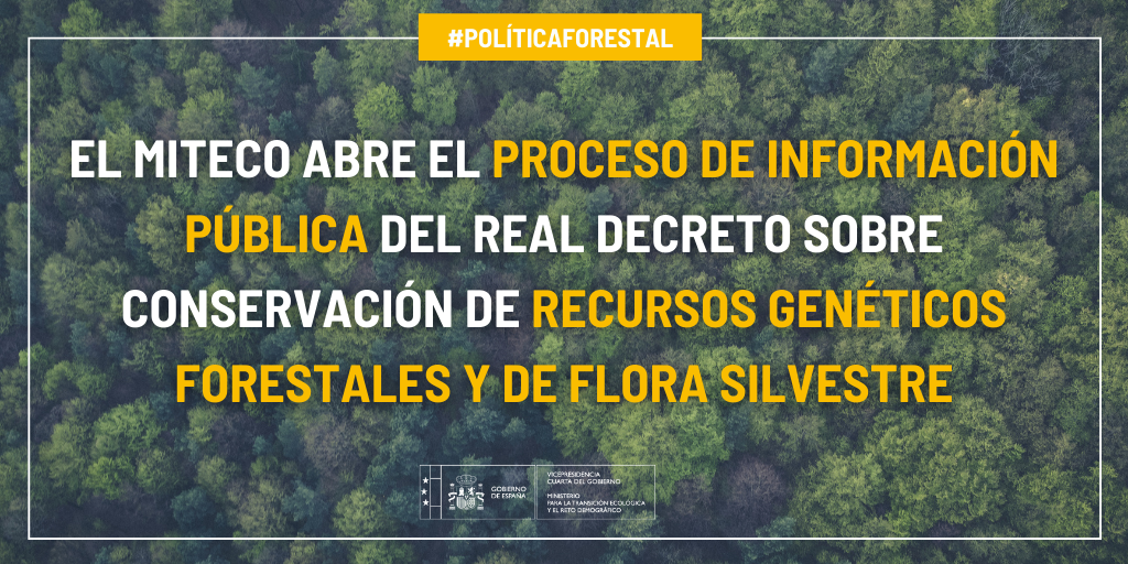 PNGEl MITECO abre el proceso de información pública del Real Decreto sobre conservación de recursos genéticos forestales y de flora silvestre