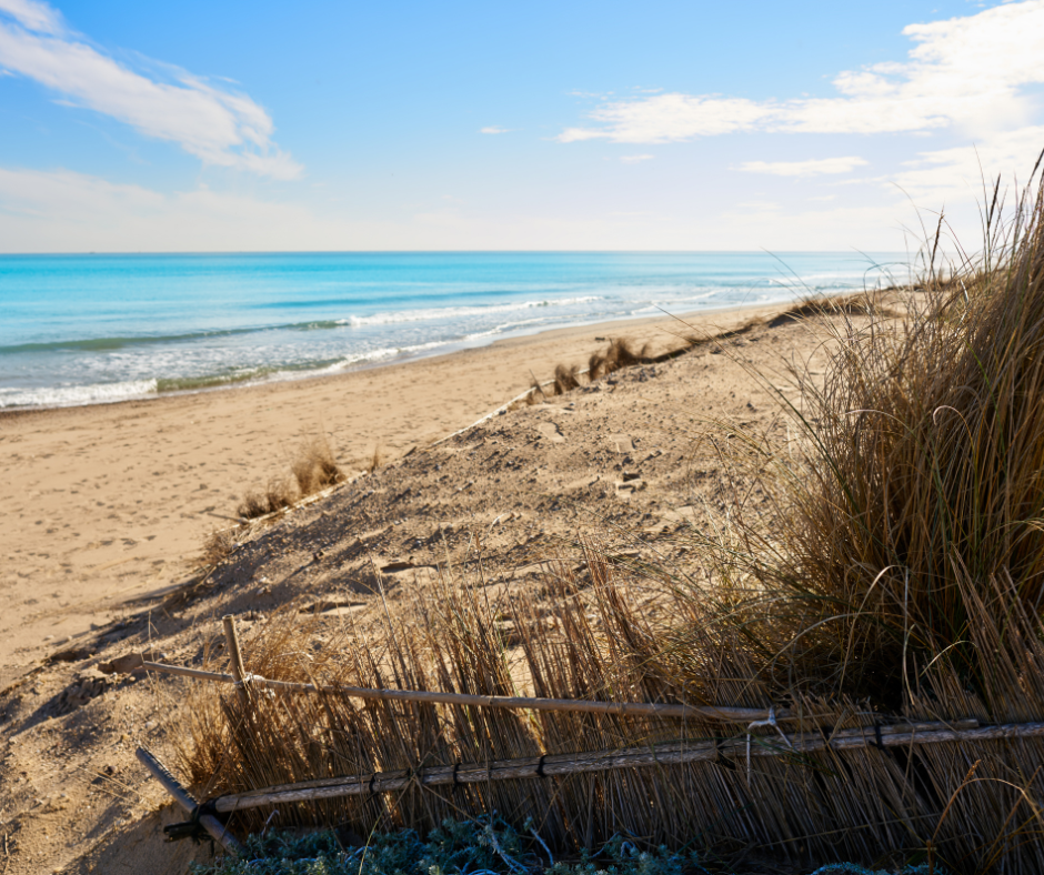  Recuperación PlayasEl MITECO pone en marcha dos proyectos para regenerar la costa en el Levante