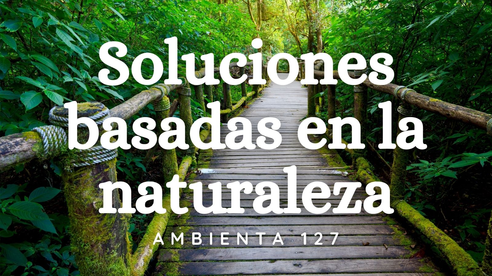 AMBIENTA PANTALLA Y REDESLa revista Ambienta publica un nuevo número dedicado a las Soluciones basadas en la Naturaleza