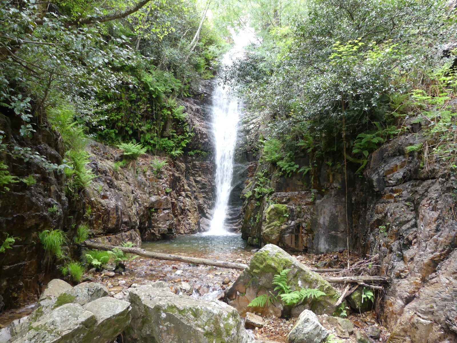 Cabañeros 1El Parque Nacional de Cabañeros asegurará la calidad de las visitas a la ruta de “El Chorro” de los Navalucillos, garantizando los objetivos de conservación