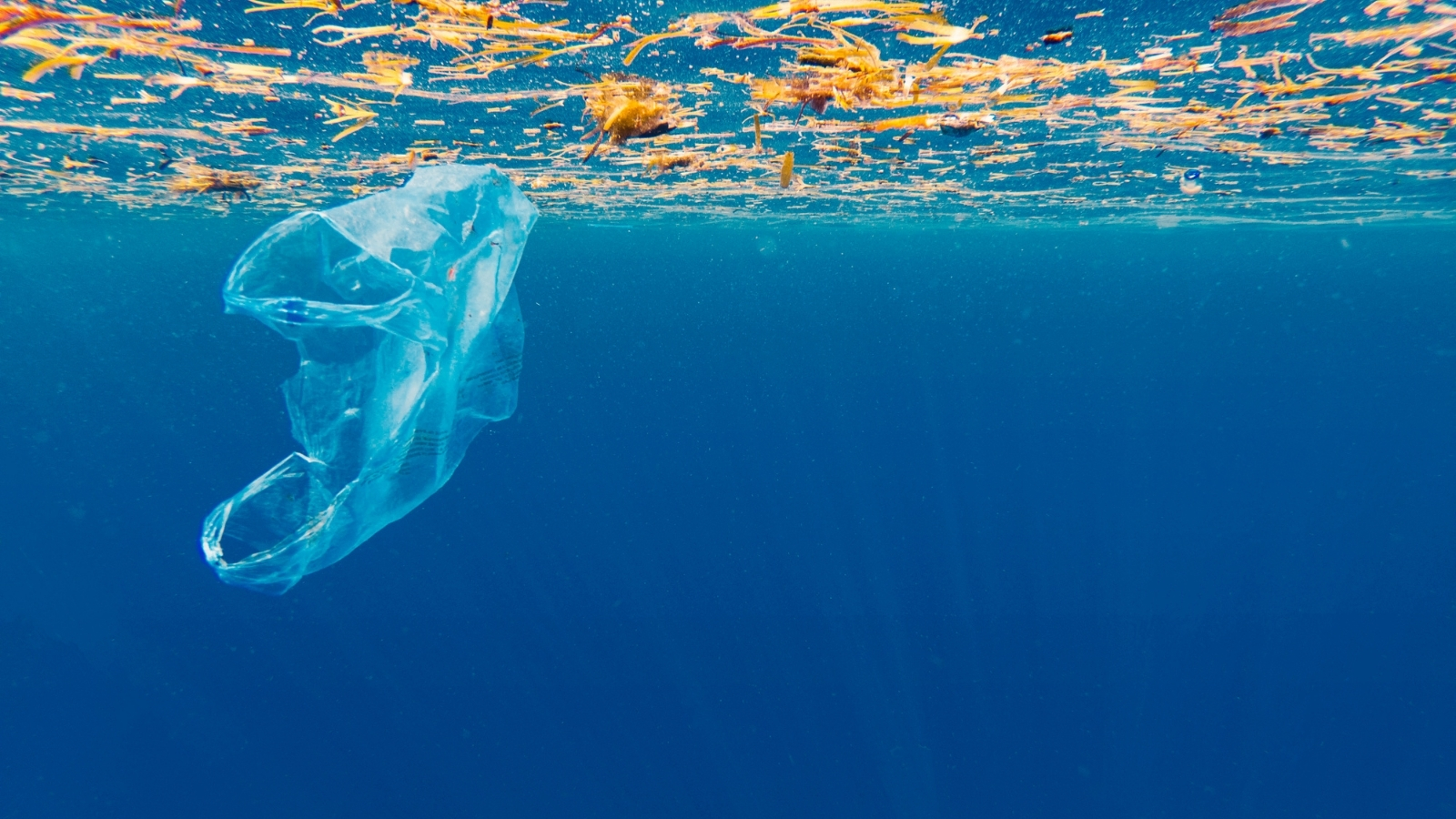 20210902 España apuesta por un acuerdo global para hacer frente a la contaminación marina por plásticos