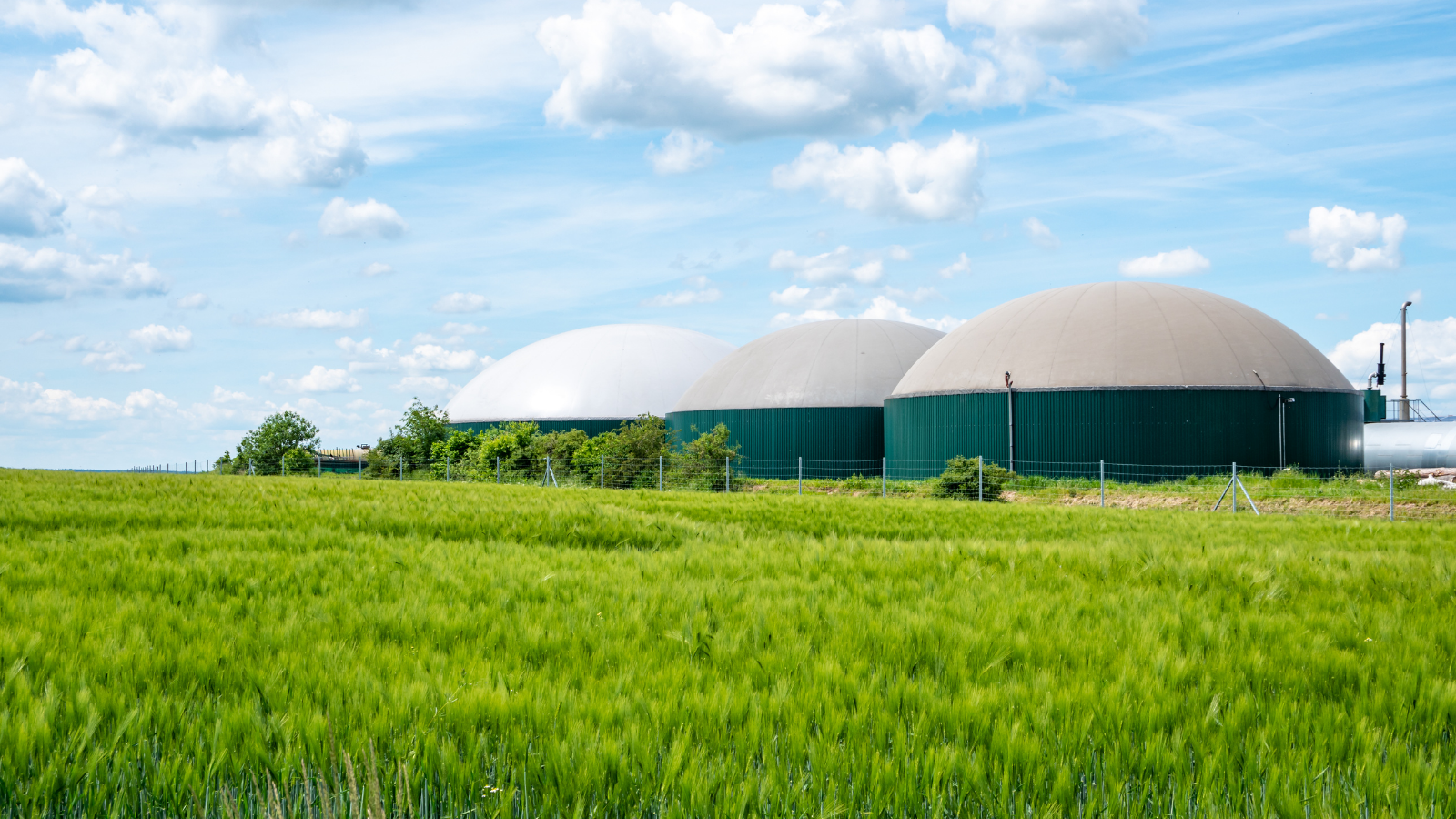 BiogásEl Gobierno aprueba la Hoja de Ruta del Biogás 