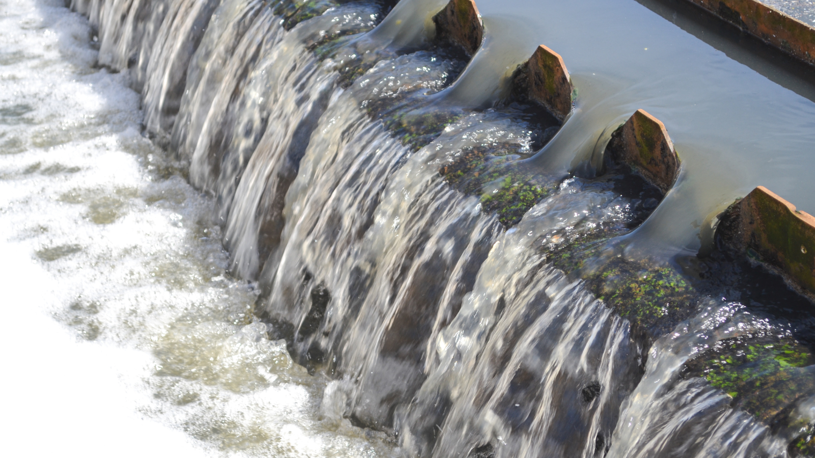 20220811 El MITECO lanza a consulta pública la revisión del texto refundido de la Ley de Aguas