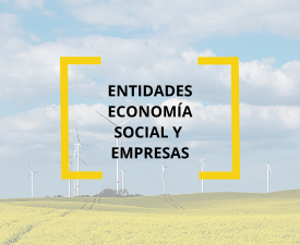 Imágen de Proyecto Innovador de Entidad de Economía Social y Empresas