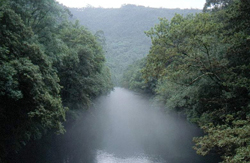 Vista de río y vegetación en su ribera