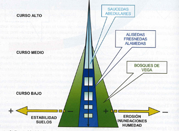 Gráfico de la evolución de la vegetación