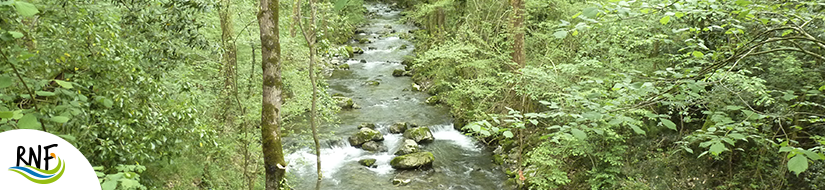 Reserva Natural Fluvial Altzolaratz