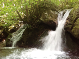 Río Somiedo y Saliencia