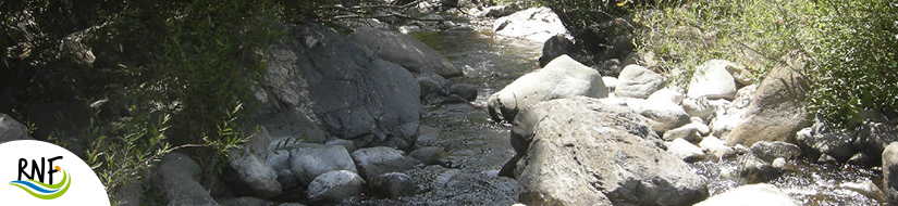 Reserva Natural Fluvial Alto Guadaiza