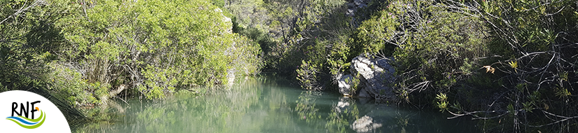 Reserva Natural Fluvial Alto Turon