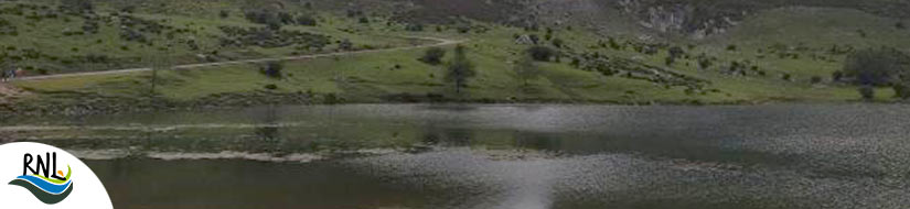 Complejo Lagos de Covadonga- Lago Enol