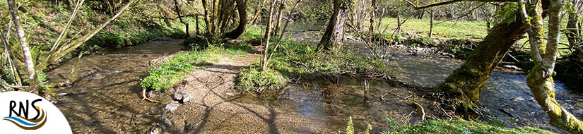 Reserva Natural Fluvial del Manantial del río Cabra
