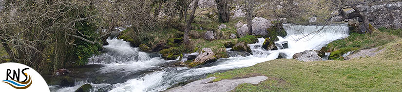 Reserva Natural Fluvial del Manantial del río Gándara