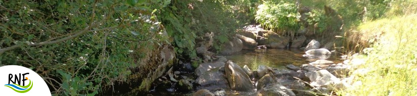 Reserva natural fluvial Río de Ortigal hasta la junta con el río das Pontes