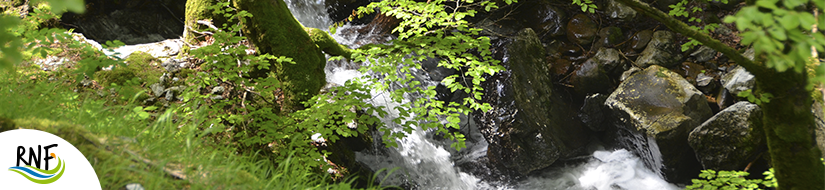 Reserva Natural Fluvial Arantzazu