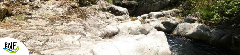 Reserva Natural Fluvial Cabecera del Arnera 