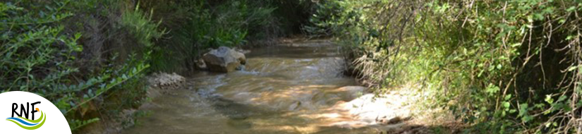 Reserva Natural Fluvial Cabecera de la Riera de la Portella 