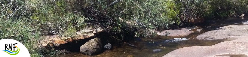 Reserva Natural Fluvial Alto Razón