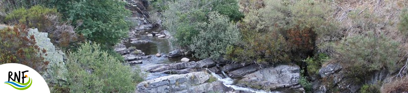 Reserva Natural Fluvial Fluvioglaciares de Cardaño de Arriba