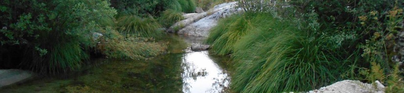 Reserva Natural Fluvial Río Corneja