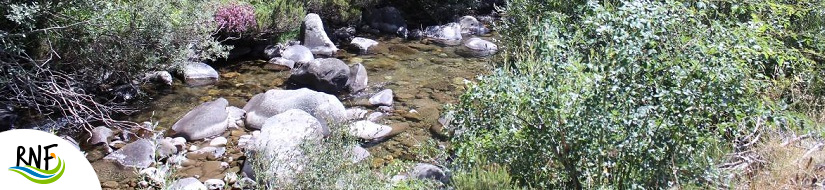 Reserva Natural Fluvial Río Lechada