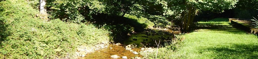 Reserva Natural Fluvial Río Arga en su cabecera