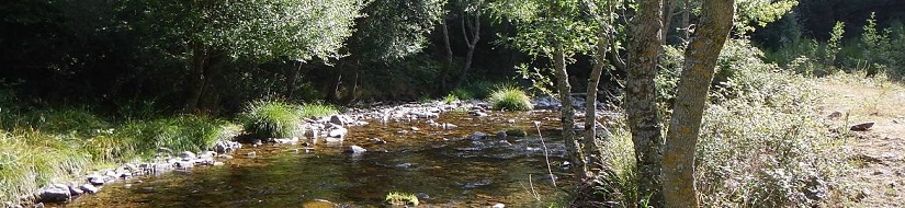 Reserva Natural Fluvial Río Calamantio desde su nacimiento hasta desembocadura en el río Najerilla