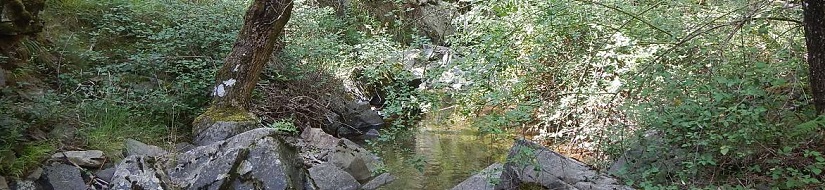 Reserva Natural Fluvial Río Cambrones desde su nacimiento hasta su entrada en el embalse de Mansilla