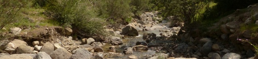 Reserva Natural Fluvial Río Estarrún en su cabecera