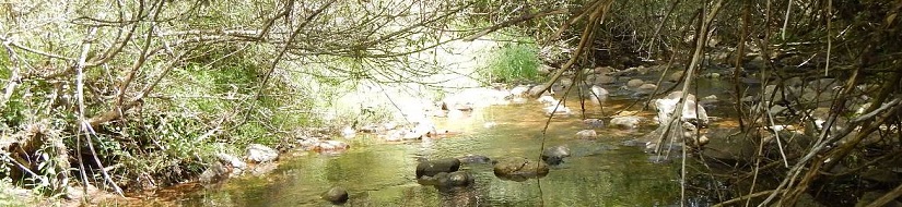 Reserva Natural Fluvial Río Iregua desde su nacimiento hasta el azud del canal de trasvase al Embalse de Ortigosa (incluye río Mayor)
