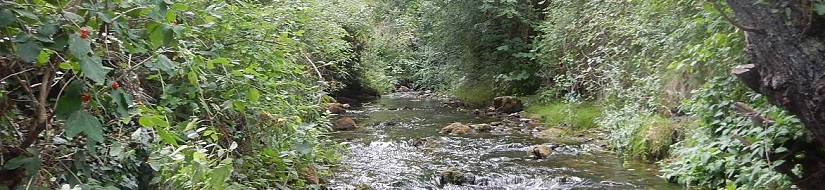 Reserva Natural Fluvial Río Najerilla desde su nacimiento hasta el río Neila