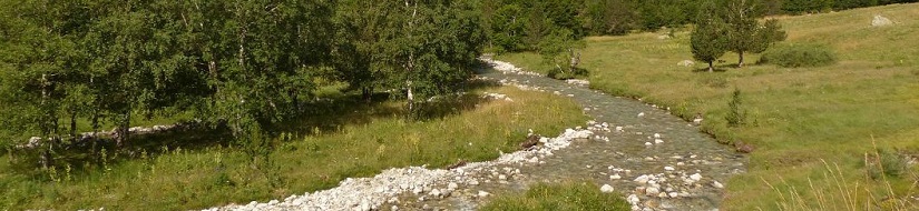 Reserva Natural Fluvial Río Noguera Ribagorzana desde su nacimiento hasta la cola del Embalse de Baserca (incluye río Bizberri)