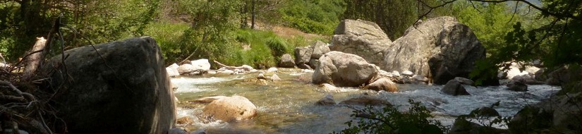 Reserva Natural Fluvial Río Salenca desde su nacimiento hasta la cola del embalse de Baserca
