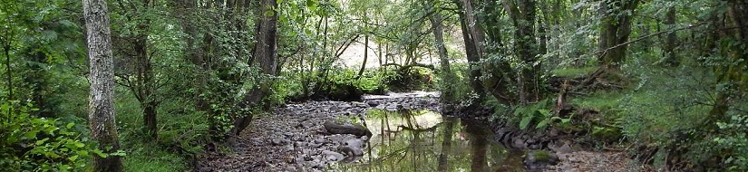 Reserva Natural Fluvial Río Santa Engracia en cabecera
