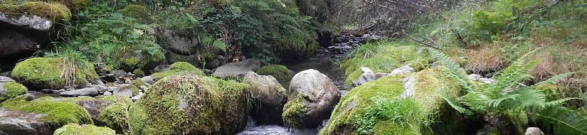 Reserva Natural Fluvial Río Tirón desde su nacimiento hasta la población de Fresneda de la Sierra