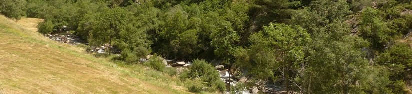 Reserva Natural Fluvial Río Vallfarrera desde su nacimiento hasta el río Tor