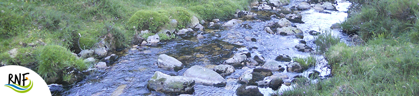 Reserva natural fluvial del Río Masma. Zona: Masma I