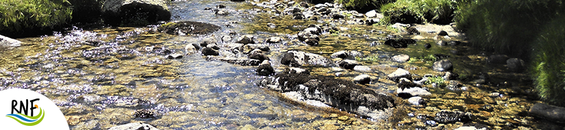 Reserva natural fluvial del Río Parada de Valdohome. Zona: Parada de Valdohome