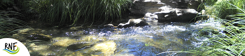 Reserva natural fluvial de Río Ulla-Deza. Zona: Río Asneiro