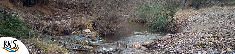 Reserva Natural Subterránea Escamas de Despeñadero y Nacimiento del río Fardes
