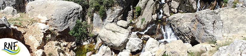 Reserva Natural Fluvial del Río Castril 