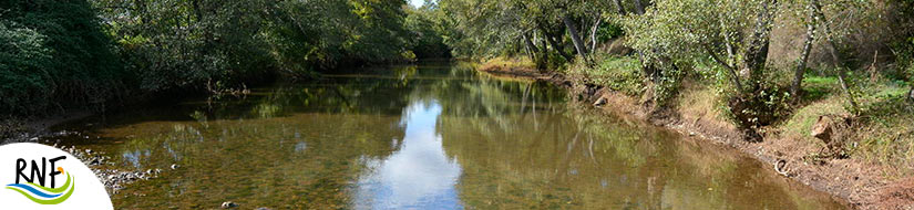 Reserva Natural Fluvial del Río Gévora 
